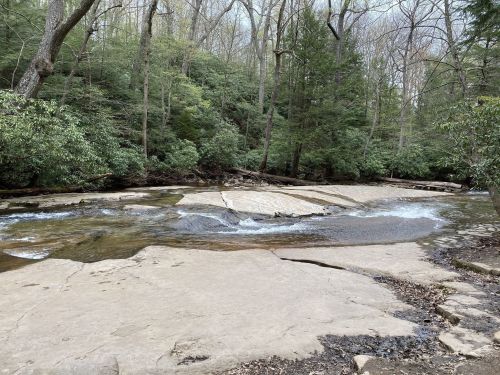 A serene river flows over smooth rocks, surrounded by lush green trees in a tranquil forest setting.