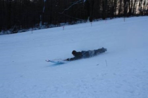 A person sledding down a snowy hill, lying flat on a sled with trees in the background.