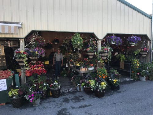A flower shop with hanging baskets and potted plants, featuring a person standing at the entrance.
