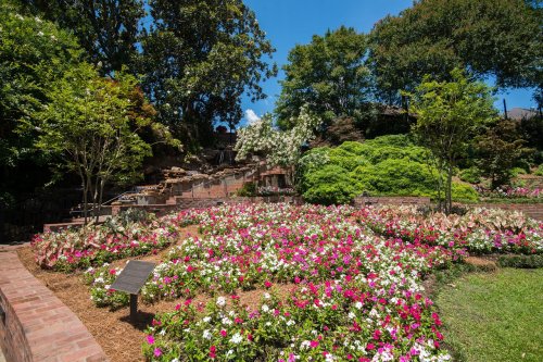 A vibrant garden filled with colorful flowers, surrounded by lush greenery and trees under a clear blue sky.