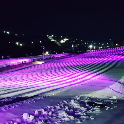A snowy slope illuminated by vibrant purple lights, with distant hills and a clear night sky in the background.