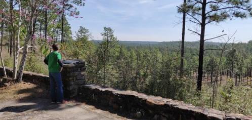 A person in a green shirt stands by a stone wall, gazing at a scenic view of trees and hills under a clear sky.