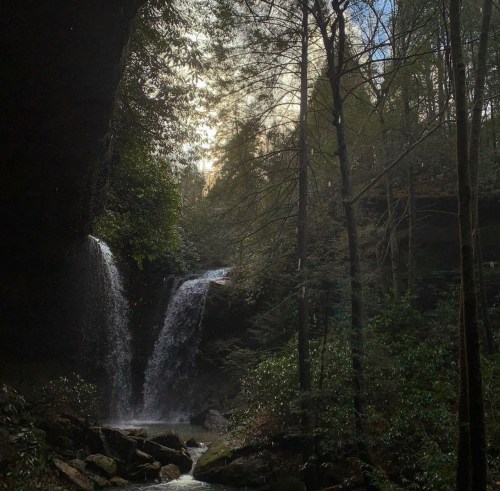 A serene waterfall cascades through lush greenery, surrounded by tall trees and rocky terrain under a soft, glowing sky.