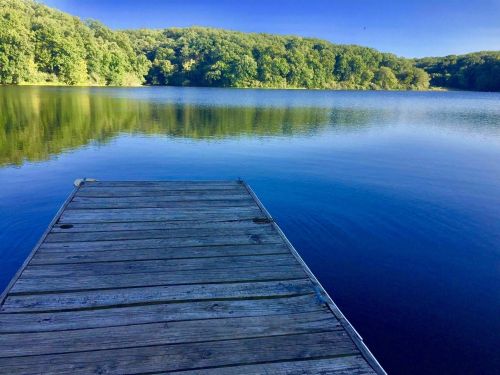 A wooden dock extends into a calm lake, surrounded by lush green trees under a clear blue sky.