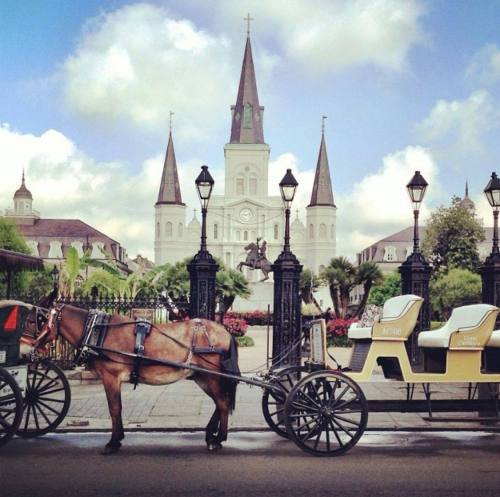 A horse-drawn carriage in front of a historic church with tall spires, surrounded by greenery and lampposts.
