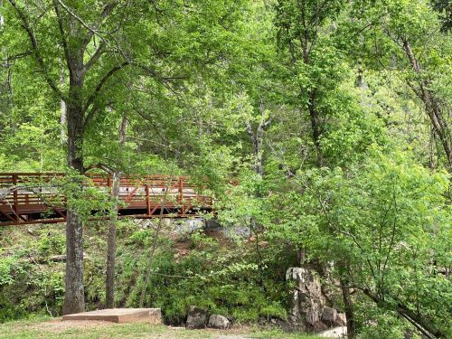 A lush green landscape featuring trees and a wooden bridge over a small creek.