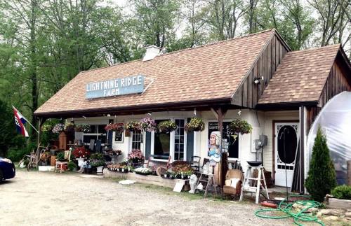 A charming farm store with a wooden facade, flower baskets, and outdoor decor, surrounded by greenery.