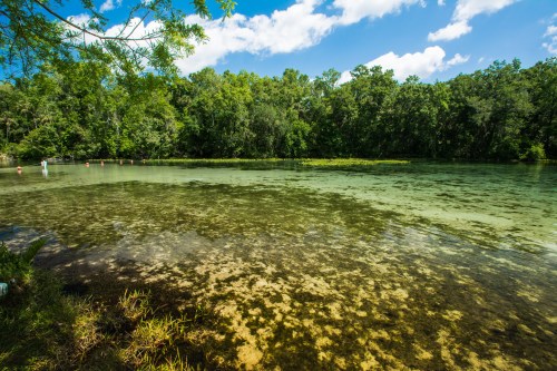 A serene river scene with clear water, lush green trees, and a blue sky dotted with clouds.