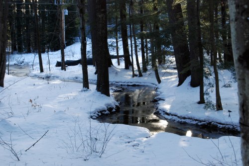 A serene winter scene with a winding stream surrounded by snow-covered ground and tall trees.