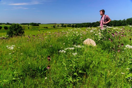 A person stands in a lush, green field filled with wildflowers, gazing into the distance under a clear blue sky.