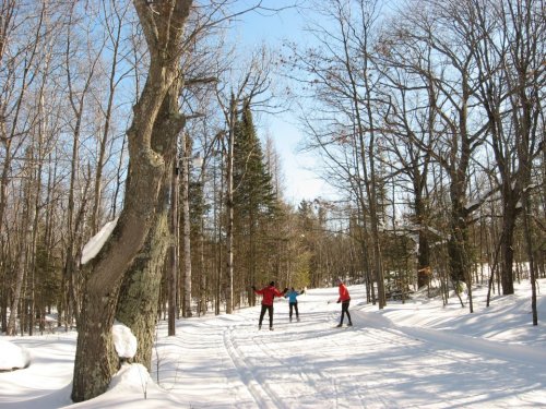 Four people in winter clothing stand on a snowy trail surrounded by trees, enjoying a sunny day outdoors.