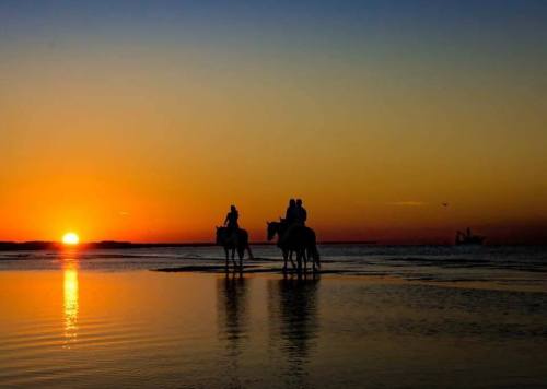 Silhouettes of two riders on horseback at sunset, reflecting on calm water with a vibrant orange and blue sky.