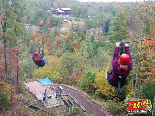 Two people ziplining through a colorful forest with a scenic view of a building in the background.