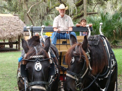 A man in a cowboy hat sits on a wagon pulled by two horses, with a child peeking over the side in a lush, green setting.