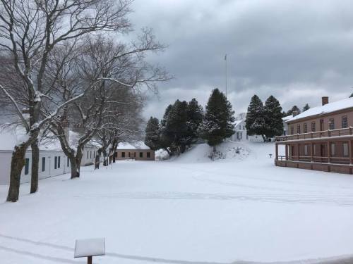 A snowy landscape featuring trees, buildings, and a cloudy sky, creating a serene winter scene.