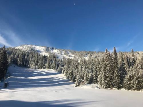 A snowy landscape with a ski slope and tall evergreen trees under a clear blue sky.