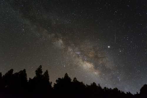 A starry night sky featuring the Milky Way, with silhouettes of trees in the foreground and a shooting star.