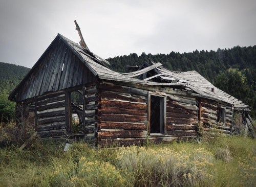 A dilapidated wooden cabin with a collapsed roof, surrounded by overgrown grass and trees in the background.