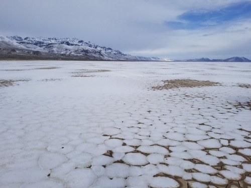 A vast, flat landscape of salt flats with hexagonal patterns, surrounded by snow-capped mountains under a cloudy sky.