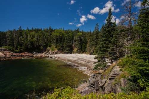 A serene coastal scene with a rocky shore, clear water, and lush green trees under a bright blue sky.