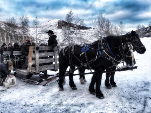 A horse-drawn sled waits in the snow, with passengers seated on a wooden bench, surrounded by snowy mountains and trees.