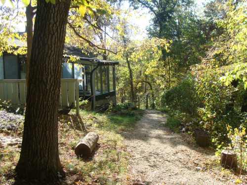 A gravel path leads through a wooded area to a house with large windows, surrounded by trees and autumn foliage.