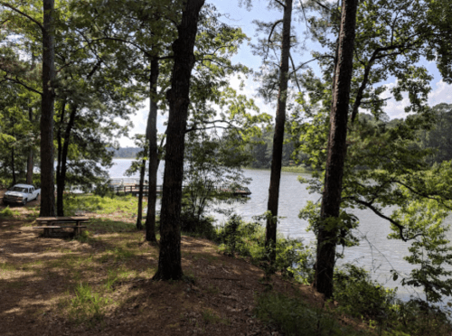 A serene lakeside view with trees, a picnic table, and a small dock in the distance under a clear sky.