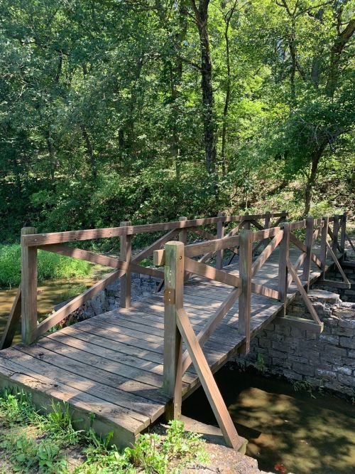 A wooden bridge spans a small stream, surrounded by lush green trees and foliage.