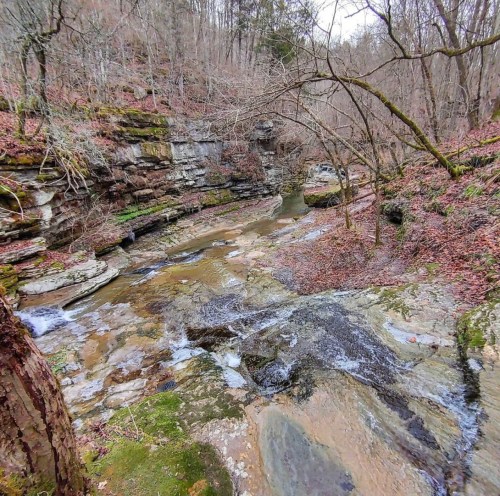 A serene creek flows through a rocky landscape, surrounded by bare trees and autumn leaves.