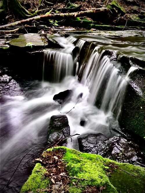 A serene waterfall cascades over moss-covered rocks in a lush, green forest setting.