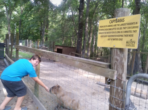 A person interacts with a capybara at a zoo, with an informational sign about capybaras in the background.
