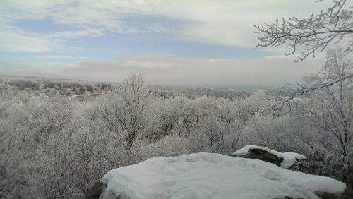 A snowy landscape with frosted trees and a cloudy sky, overlooking a distant town.