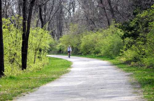 A cyclist rides along a winding path surrounded by lush greenery and trees in a serene outdoor setting.