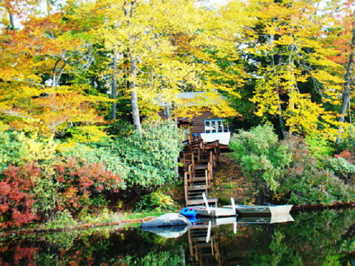 A serene lakeside scene with a cabin surrounded by vibrant autumn foliage and reflections in the water.