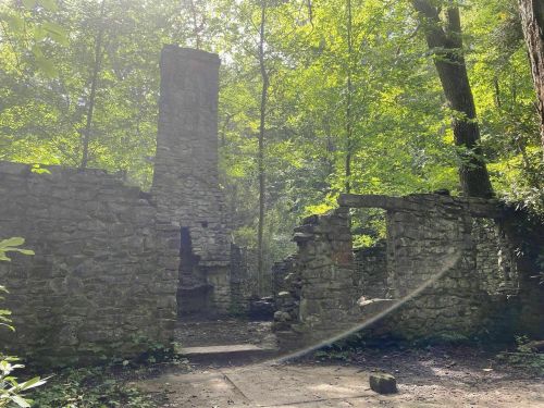 Ruins of a stone structure surrounded by lush green trees and sunlight filtering through the forest.