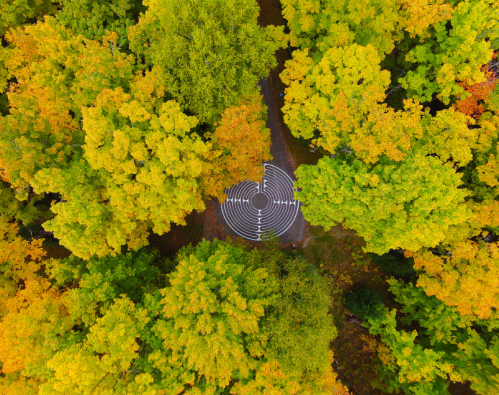Aerial view of a circular maze surrounded by vibrant autumn foliage in a lush forest.