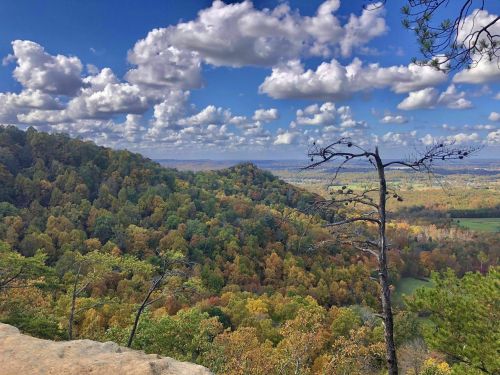 A scenic view of rolling hills covered in autumn foliage under a blue sky with fluffy clouds.