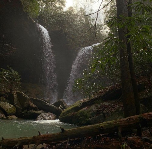 A serene waterfall cascades into a tranquil pool, surrounded by lush greenery and rocky terrain.
