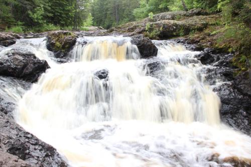 A cascading waterfall flows over dark rocks, surrounded by lush green trees and foliage.
