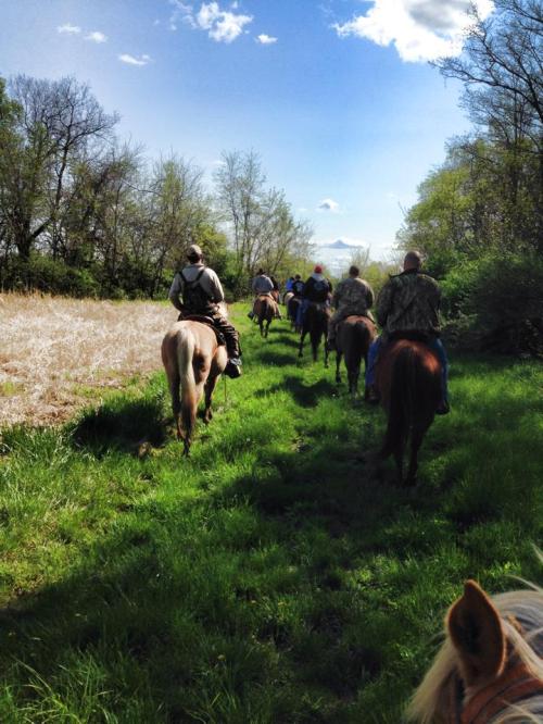 A group of people riding horses along a grassy trail surrounded by trees and blue skies.