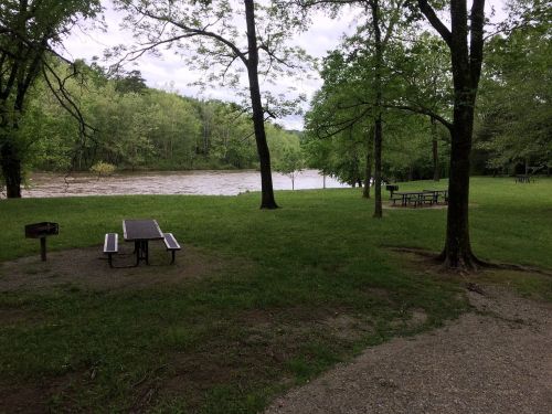 A serene park scene with picnic tables and a river, surrounded by lush green trees under a cloudy sky.