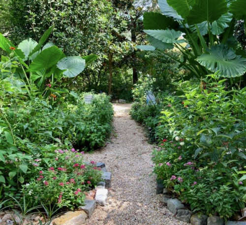 A winding gravel path through a lush garden filled with vibrant green plants and colorful flowers.