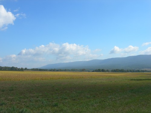 A wide, open field with green grass and a distant mountain range under a blue sky with fluffy white clouds.