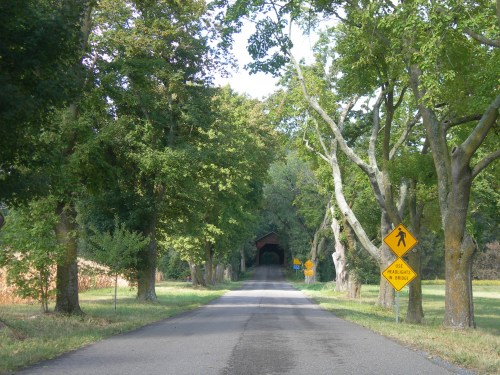 A tree-lined road leads to a covered bridge, with warning signs for pedestrians and bridge ahead.