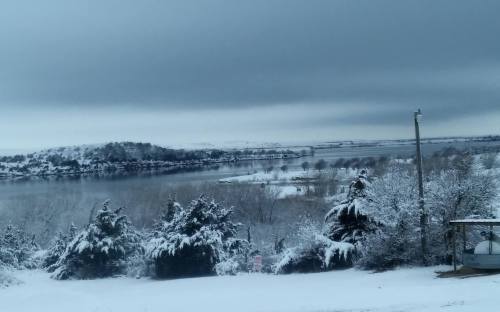 A snowy landscape with trees in the foreground, a lake in the background, and overcast skies.