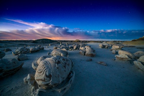 Rock formations resembling large fish on a sandy landscape under a twilight sky with scattered clouds and stars.