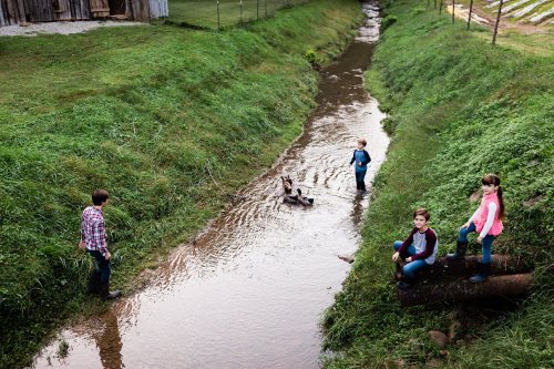 Four children play by a shallow stream in a grassy area, with one child sitting in the water and others nearby.