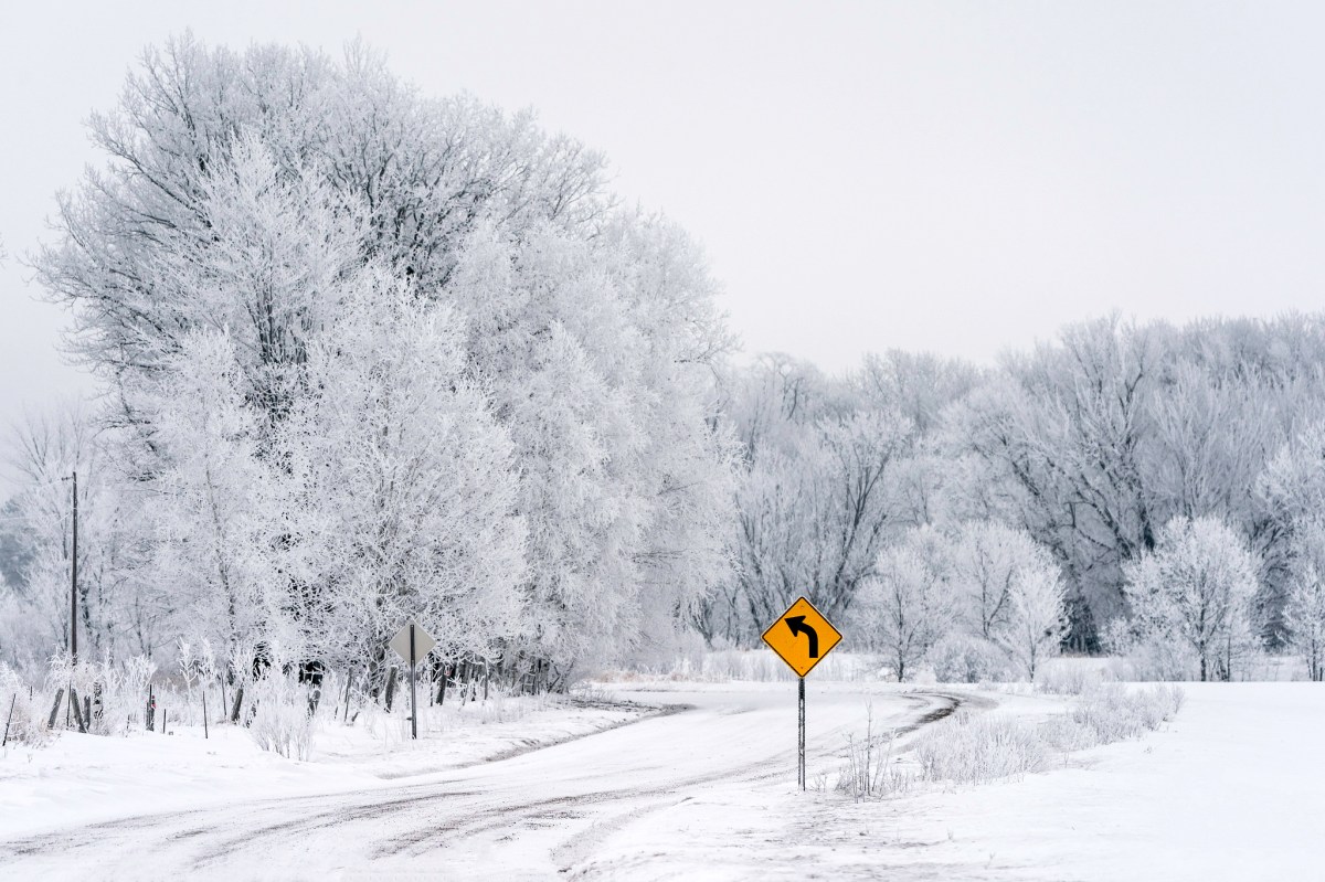 A Natural Phenomenon, Rime Ice, Has Been Popping Up In Maine And It's ...
