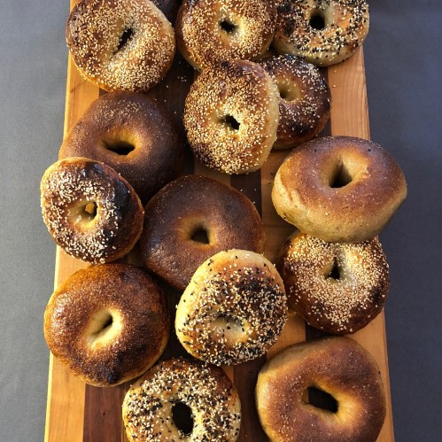 A wooden board topped with a variety of freshly baked bagels, some with sesame and poppy seeds, others plain.