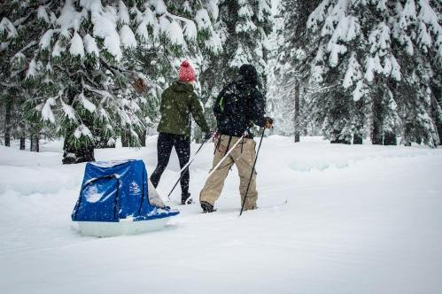 Two people ski through a snowy forest, one pulling a sled, surrounded by tall, snow-covered trees.